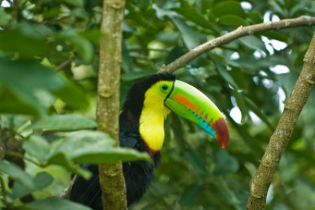 Costa Verde Panamá